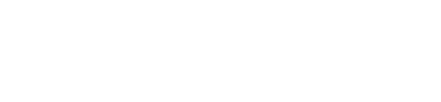 SCM Executives